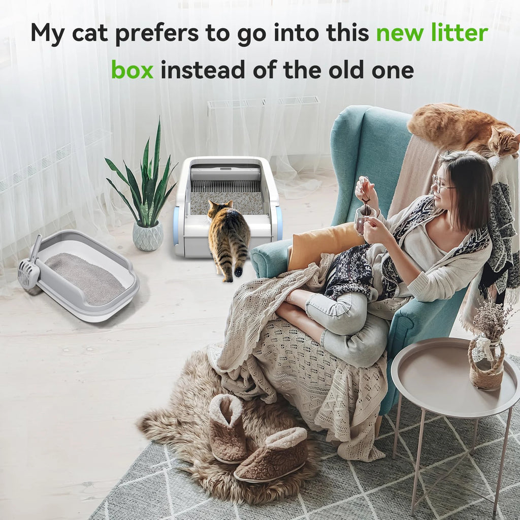 LitterBoxBot