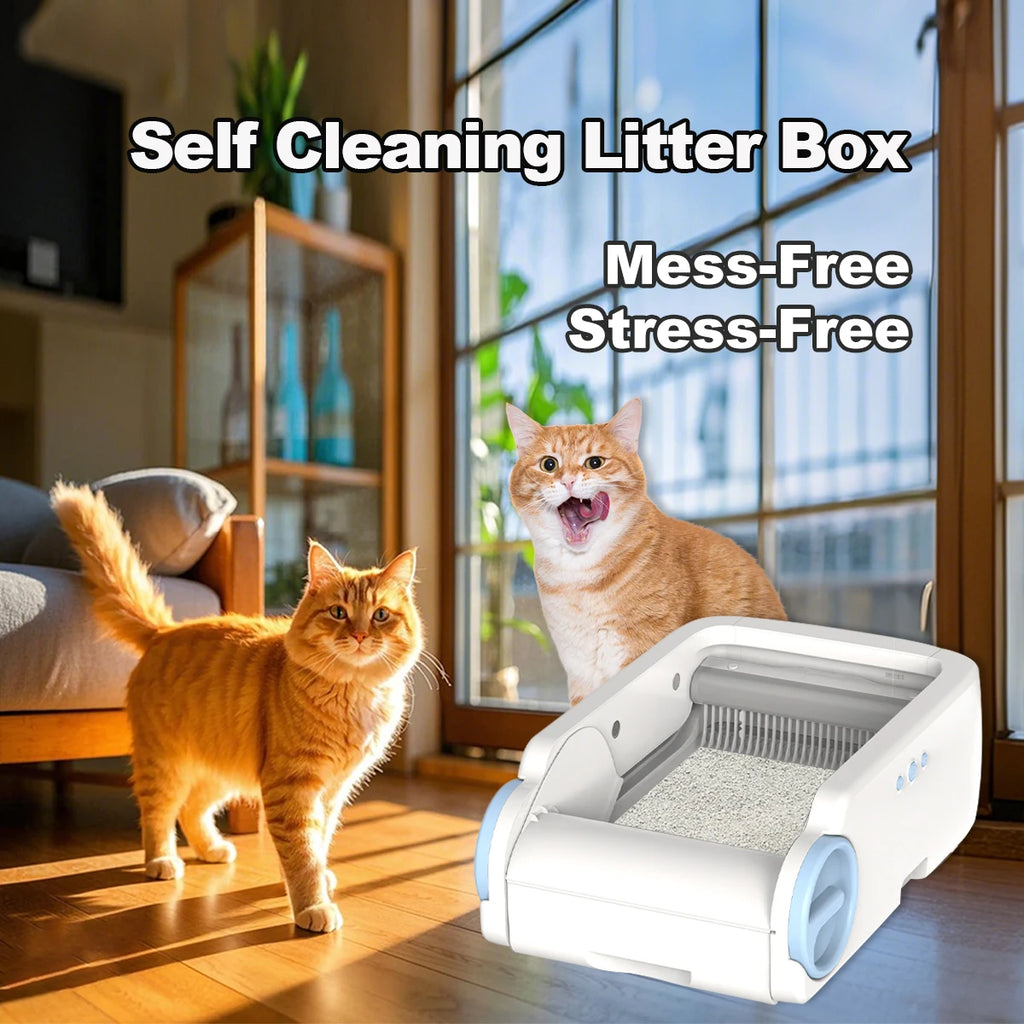 LitterBoxBot